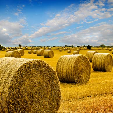 Agri Events